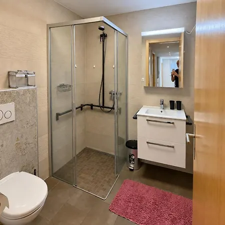 Le Patio Des Bains De * Saillon